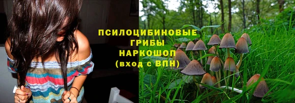 a pvp Володарск